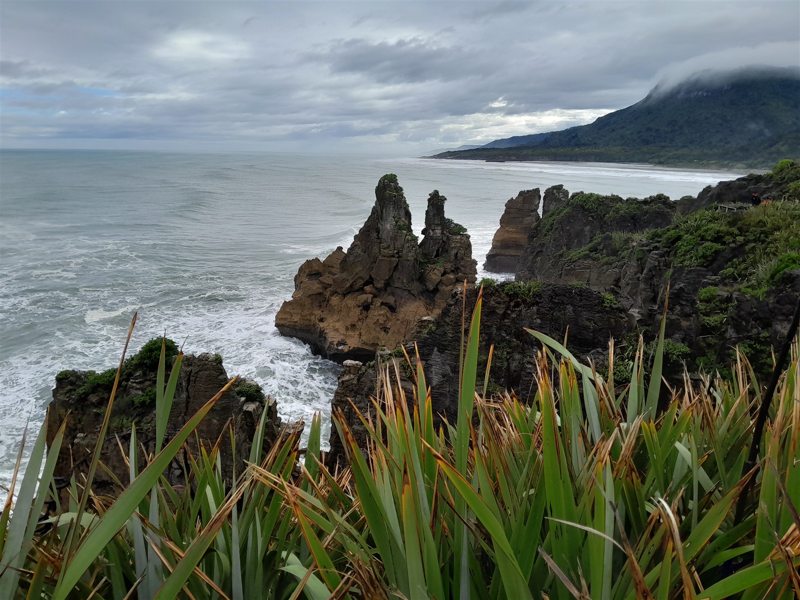 West Coast ~ Tuesday, 10 March